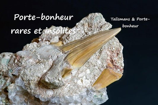 Porte-bonheur les plus rares et les plus insolites dans le monde