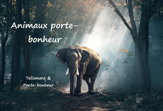 Les animaux porte-bonheur, symbolique et signification