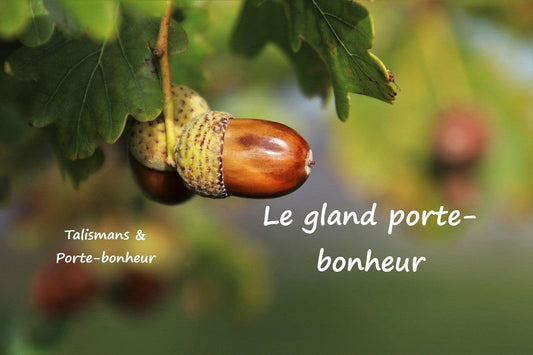 La symbolique du gland porte-bonheur