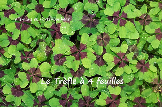 Porte-bonheur trèfle à 4 feuilles