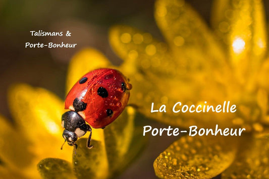 La symbolique de la coccinelle porte-bonheur