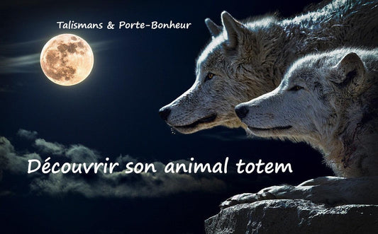Comment découvrir son animal totem