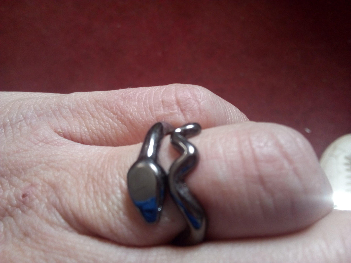 Anneau de protection serpent