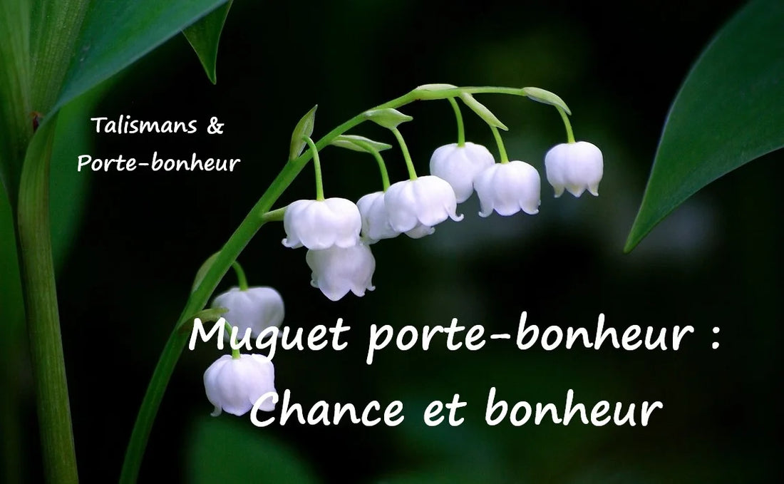 Muguet porte bonheur : chance et bonne fortune