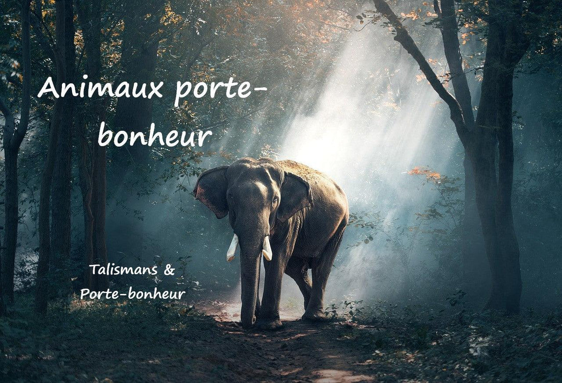 Les animaux porte-bonheur, symbolique et signification