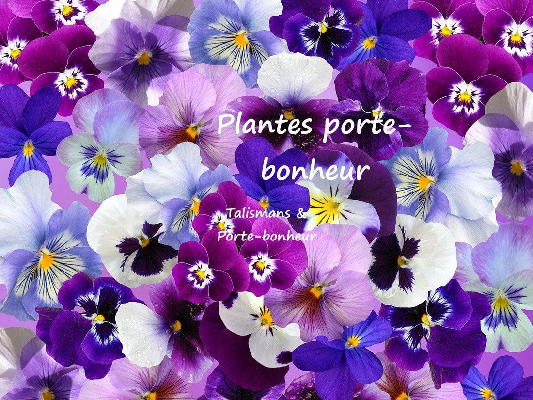 Quelles sont les plantes porte-bonheur qui portent chance ?