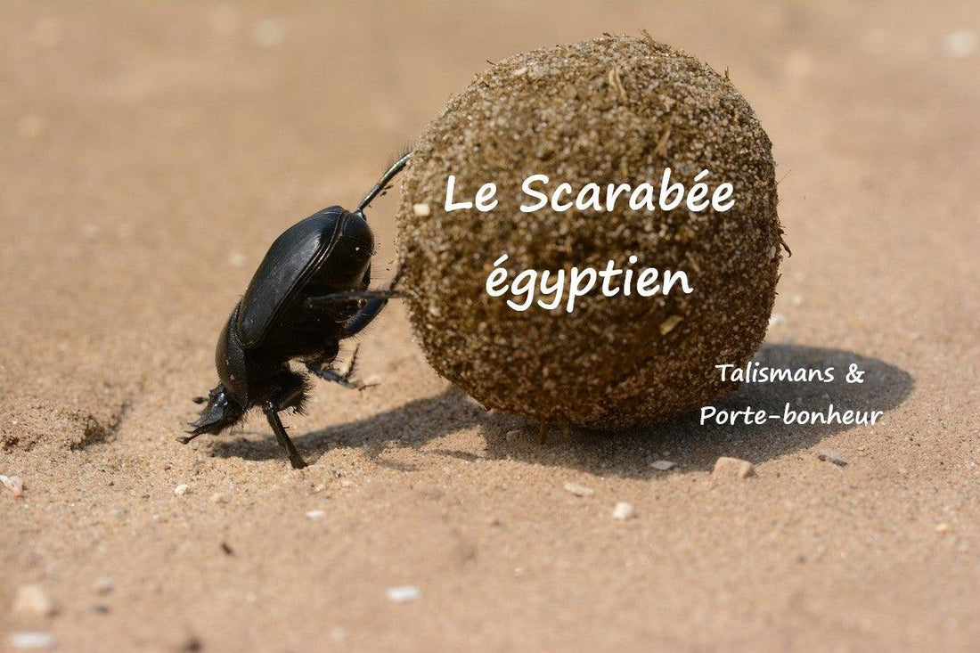 Le scarabée égyptien, véritable talisman puissant