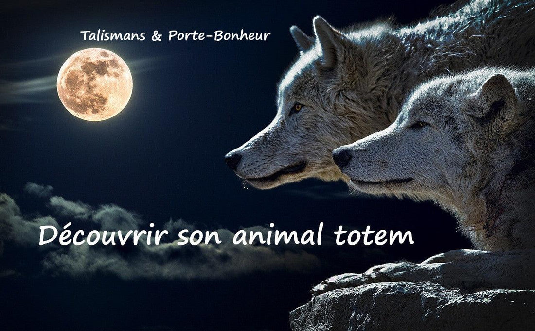 Comment découvrir son animal totem