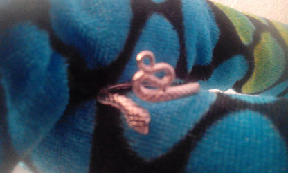 Bague de protection Argent Serpent
